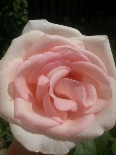 20150609_152041