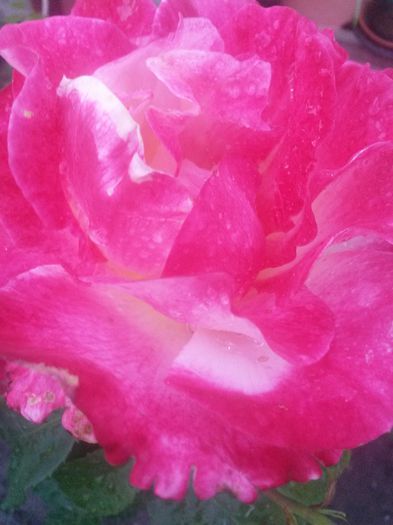 20150612_210411