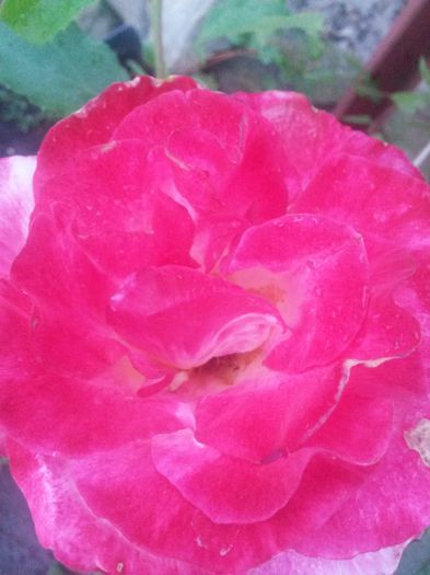 20150612_210416