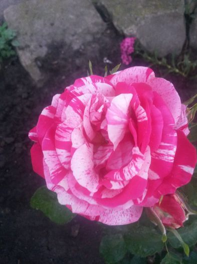 20150612_210429