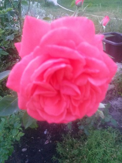 20150612_210442