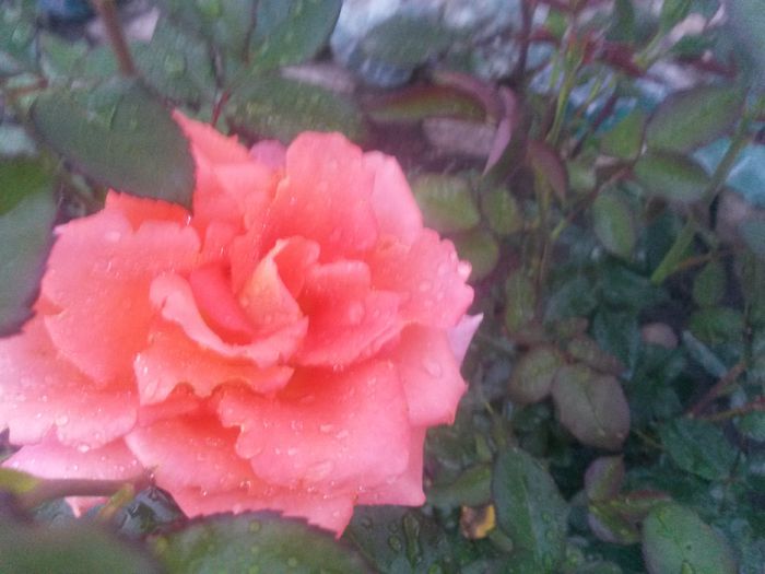 20150612_210502