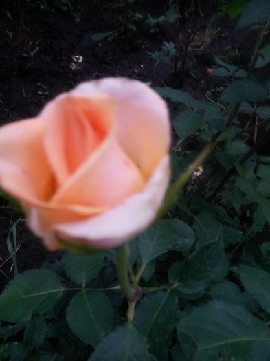 20150616_201917