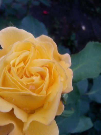 20150616_202026