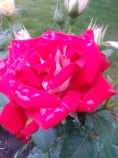 20150616_202104