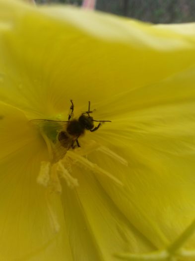 20150620_110611