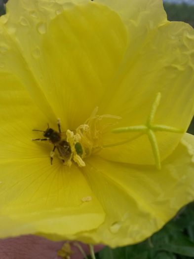 20150620_110622