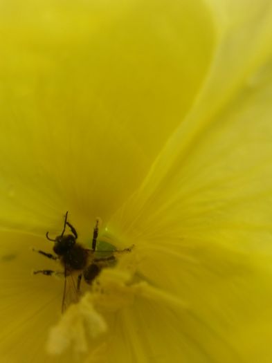 20150620_110627