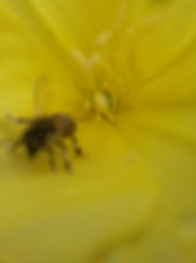 20150620_110631