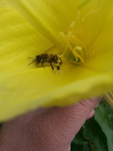 20150620_110641