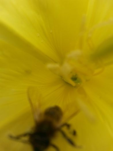 20150620_110652