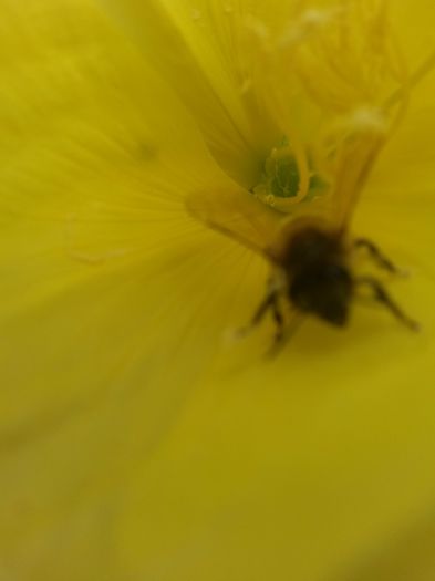 20150620_110701