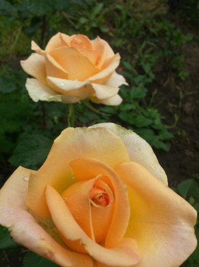 20150620_110730