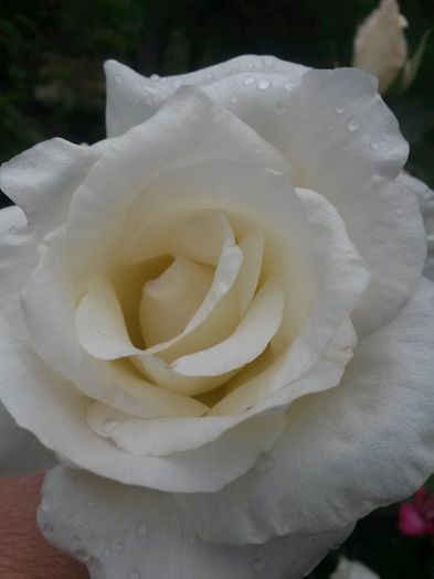 20150620_111017