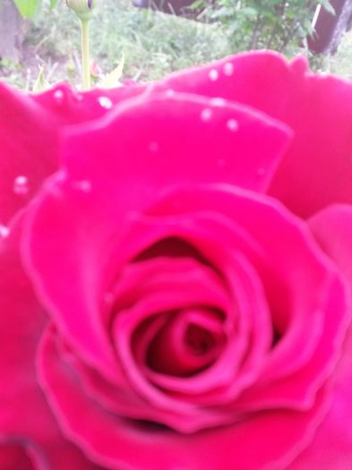 20150620_111038