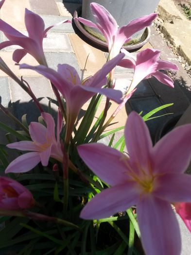 20150623_142319