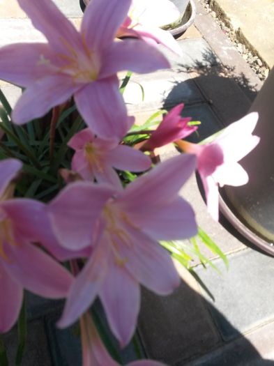 20150623_142330