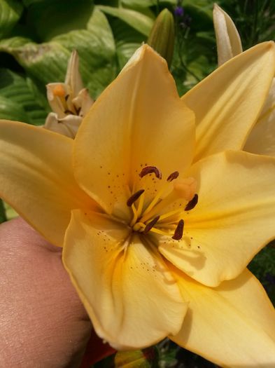20150626_133821