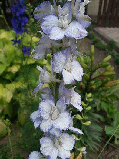 20150626_134006