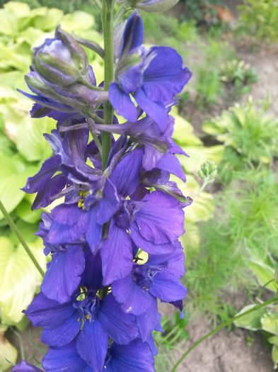 20150626_134015