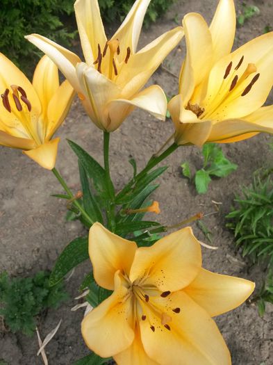 20150626_134031