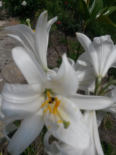 20150626_134303