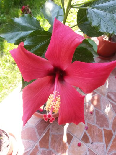 20150627_101508