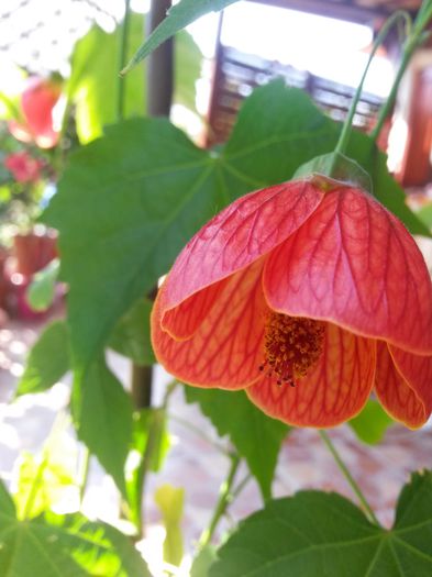 20150627_101531
