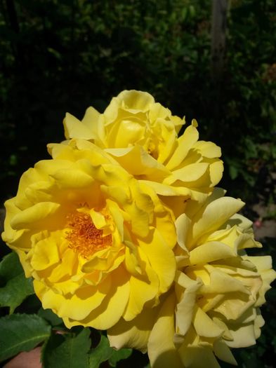 20150630_131628
