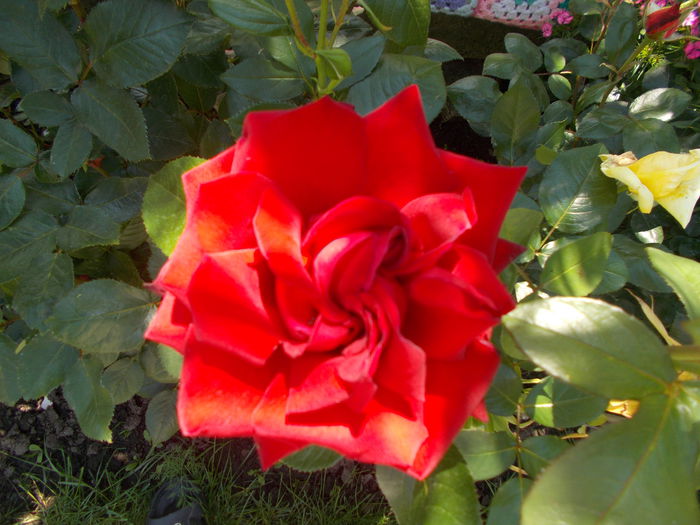 DSCN0205