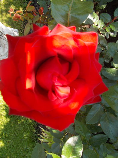 DSCN0206