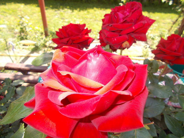 DSCN0208