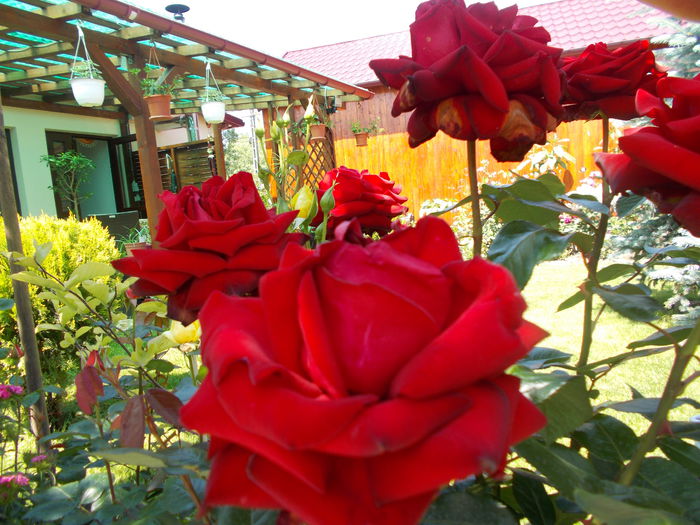 DSCN0210