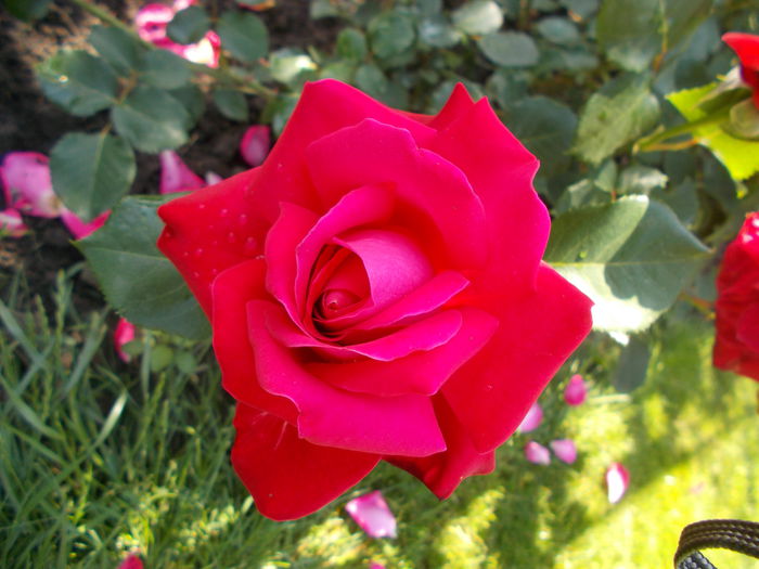 DSCN0214