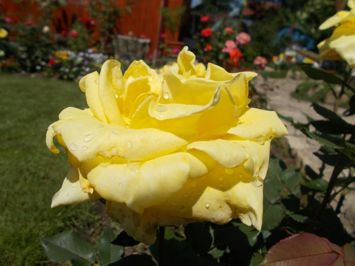 DSCN0218