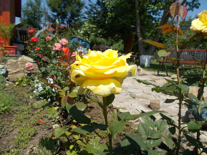 DSCN0219