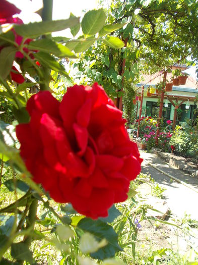 DSCN0229