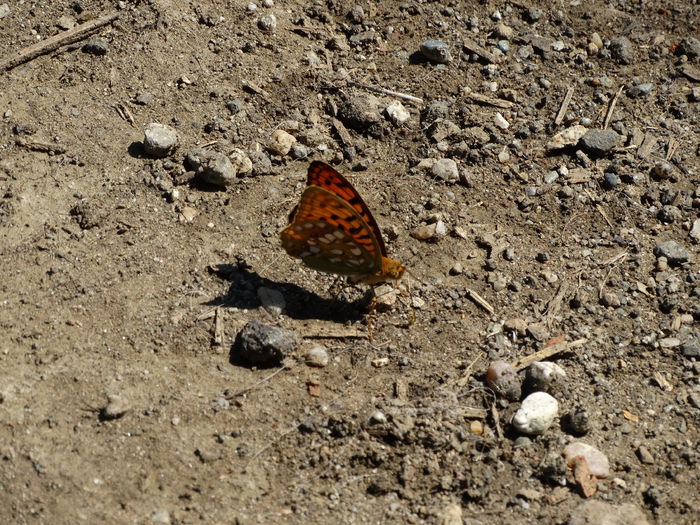 DSC01438