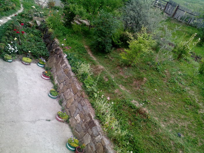 IMG_20150707_172352 - gradina 2015