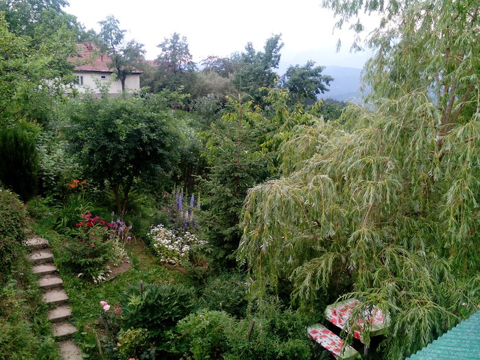 IMG_20150707_172322 - gradina 2015