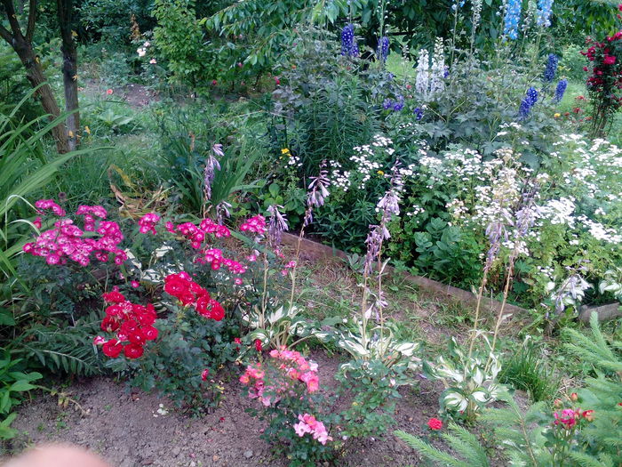 IMG_20150707_172101 - gradina 2015