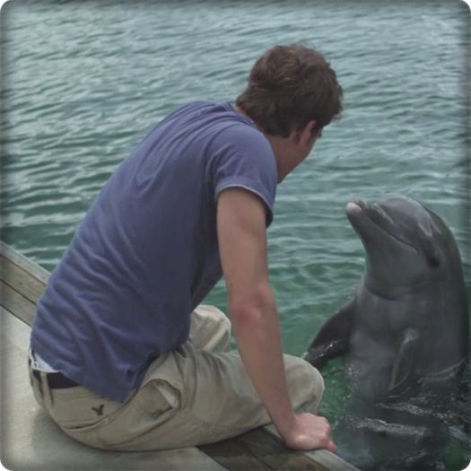 Nu ai pt ce :3 Oh uite un delfin [era cam drogat]