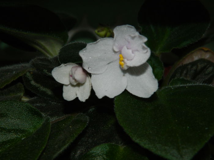 DSCN1841