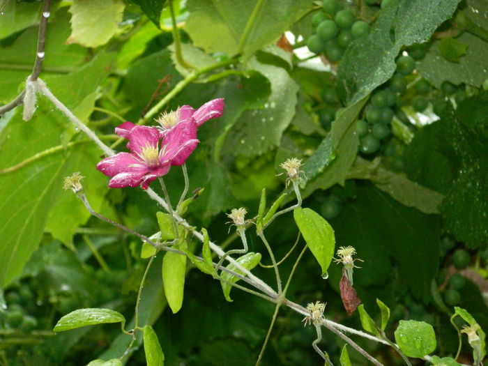 DSCN1858