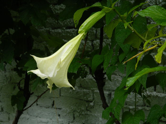 DSCN1859