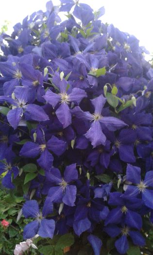 20150613_213728