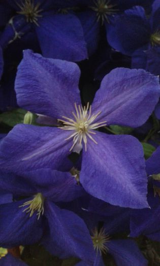 20150613_213742