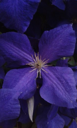 20150613_213750