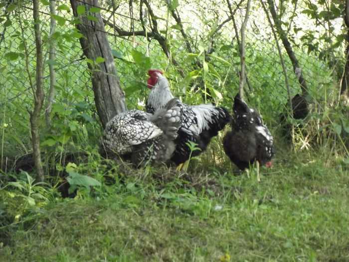 232323232-fp83232-uqcshlukaxroqdfv37538-nu=326--4-4-3-4-WSNRCG=3--4-7-2;732-nu0mrj