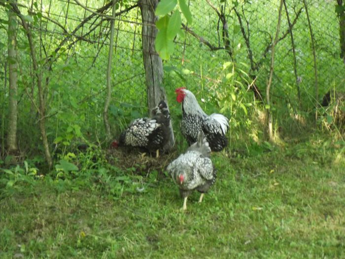 232323232-fp83232-uqcshlukaxroqdfv38546-nu=326--4-4-3-4-WSNRCG=3--4-8789-32-nu0mrj